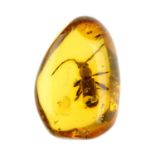 A piece of natural Dominican Republic amber with longhorn beetle inclusion. The oval shape amber