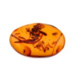 Two pieces of natural Dominican Republic amber with inclusions. To include two pieces of near oval-