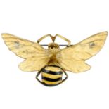 A French Art Nouveau horn bee brooch by Georges Pierre. The horn carved into the shape of a bee, the