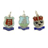 A selection of enamel town charms. To include town charms for Hereford, Arundel and Aberystwyth, all