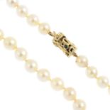 A cultured pearl single-strand necklace. Comprising forty-three cultured pearls, measuring 8.5 to