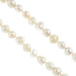 A cultured pearl single-strand necklace. Comprising 105 cultured pearls, measuring approximately