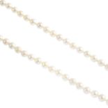 A cultured pearl single-strand necklace. Comprising a series of seventy-two cultured pearls,