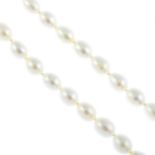 Sixteen cultured freshwater pearl single-strand necklaces and a coral single-strand necklace. One