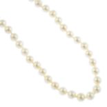 A cultured freshwater pearl single-strand necklace. Comprising a series of sixty-one cultured