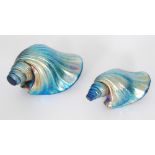 An Isle of Wight studio glass seashell decorated with pale blue iridescence over the deep blue