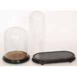 A Victorian glass dome on ebonised stand,