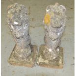 A pair of contemporary reconstituted stone figures of lions on plinth bases, height 62cm.