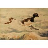 RICHARD BARRETT TALBOT KELLY (1896-1971) - Tufted Ducks, watercolour, signed with initials, framed,
