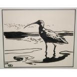 RICHARD BARRETT TALBOT KELLY (1896-1971) - Curlew, monochrome ink drawing, signed with initials,
