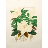 BRYAN POOLE (CONTEMPORARY) - 'Magnolia Grandiflora', etching, artist's proof, signed in pencil,