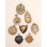 A collection of eight silver and enamelled county cricket badges including a Dorset divisional