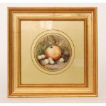 A framed Royal Worcester Fallen Fruits plaque hand painted by Sebright with an apple and