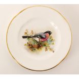 A small early 20th Century Royal Worcester plate decorated with a hand painted bullfinch perched on