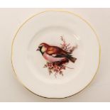 A small early 20th Century Royal Worcester plate decorated with a hand painted hawfinch perched on