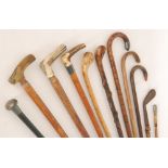 A silver topped walking cane with three horn examples four others and a swagger stick (10)