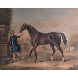 After Stubbs & Wooton Horse Prints: Three coloured Equestrian re-prints of "The Goldelphin Barb",