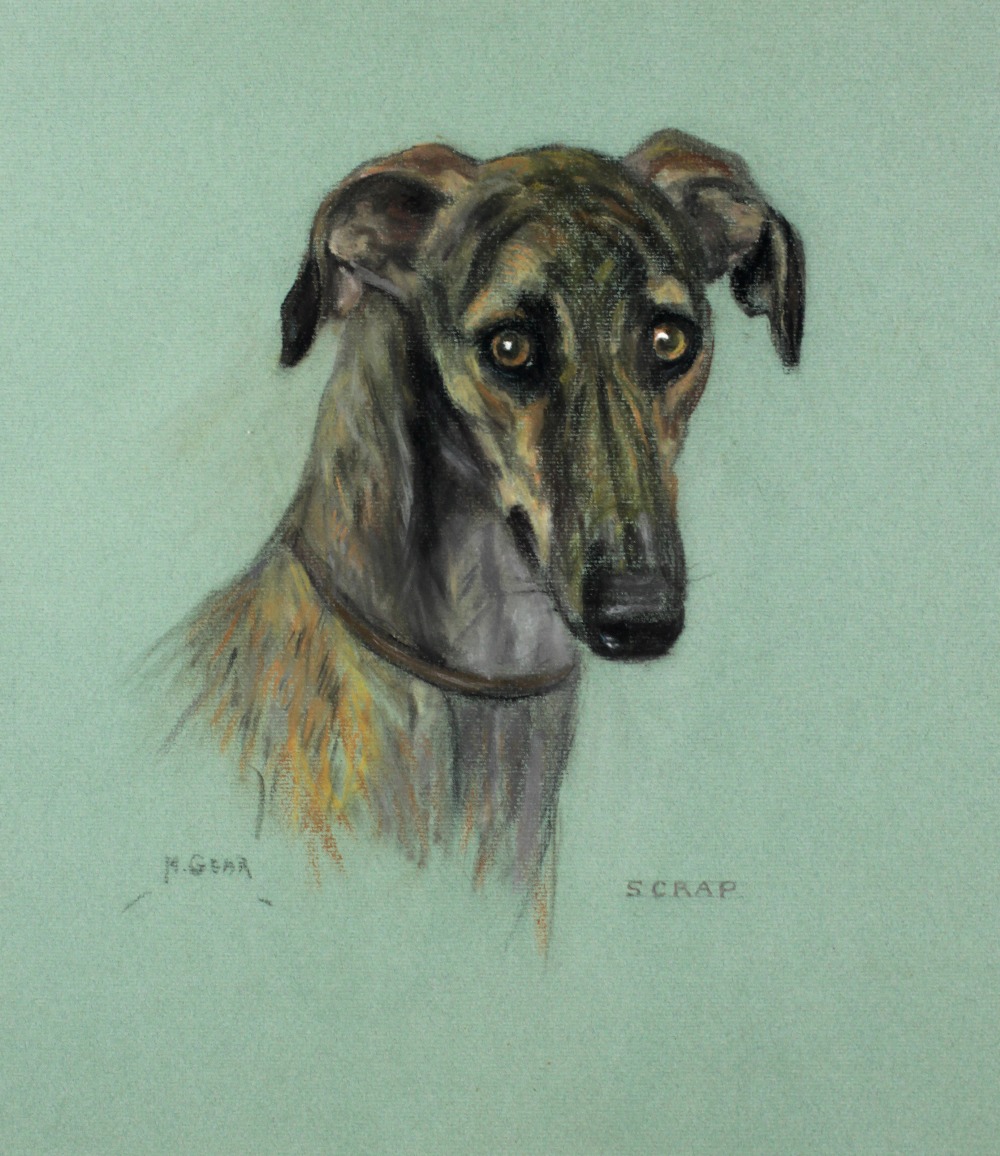 M. (Madeline) Geer, 20th Century English School "Scrap," profile of a greyhound, pastel, approx.