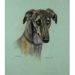 M. (Madeline) Geer, 20th Century English School "Scrap," profile of a greyhound, pastel, approx.