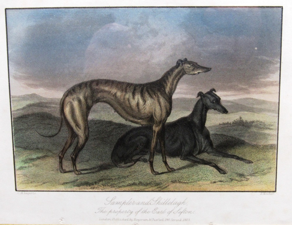 Prints: A set of four 19th Century coloured Engravings of greyhounds, each approx.