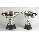 Greyhounds: "The Irish Purse - Nominator, 1984," on original stand, and "The Irish Purse,