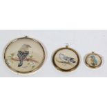 Irish School Three attractive circular graduating watercolours of Birds, depicting a robin,