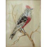 An unusual pair of Victorian Bird Pictures, made of original colourful feathers, gilt frames.