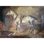William Osborne, R.H.A. Irish (1823 - 1901) "Portrait of a Grey Horse in a Stable," O.O.C., approx.