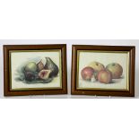 An attractive set of 8 coloured Prints depicting various Fruit, in oak frames.