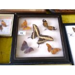 5 Butterflies in Frame, W 23cm x H 23cm