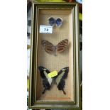 Three Butterflies in Frame, W 13cm x H 28cm
