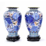 Pair of cloisonne ovoid shouldered vases, decorated with butterflies and large blue flowerheads, 12"