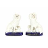 Pair of Victorian Staffordshire dog groups, modelled with puppies upon blue glazed oval bases, 7"