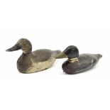 Two old wooden painted decoy ducks, with revolving heads, largest 16" long (2)