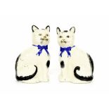 Pair of Staffordshire pottery seated cats, modelled with black and white coats and blue ribbon