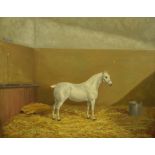 Albert Clark (1821-1909) - Grey Hackney horse in a stable interior, signed and dated 1895, oil on