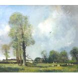 John Ambrose RMSA (1931-2010) - Pastoral scene in Worcestershire with sheep grazing in a sunlit