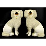 Pair of Victorian Staffordshire salt glazed spaniels, 9.5" high