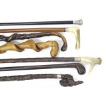 Seven assorted 19th century and later walking sticks, three with applied silver ferrules and one