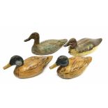 Two old painted wooden decoy ducks, both approx 12" long; also a pair of carved wooden ducks, 11"