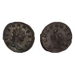 Carus, Divus. Antoninianus.