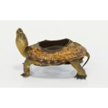 Taxidermy Interest Antique Tortoise Inkw