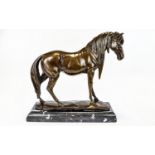 A Modern Large and Impressive Bronze Sculpture of a Stallion Horse In a Standing Position In All