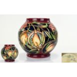 Moorcroft Modern Globular Shaped Vase ' Plevriana ' Design. Designer Rachel Bishop.