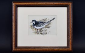 Lesley Anne Ivory (b. 1934) Original Watercolour Painting ' Pied Wagtail' A rare example by world