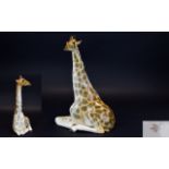 USSR - Lomonosov 1960's / 1970's - Large Porcelain Animal Figure Seated Giraffe.