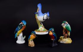 Five Porcelain Birds Kingfisher by Karl Ens, Royal Crown Derby, Doulton ( Unmarked ) + One Other,