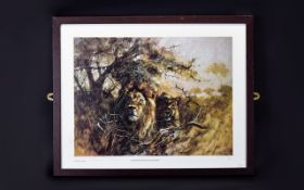Limited Edition Signed Print By Kobus Moller For The Born Free Foundation Framed and mounted under