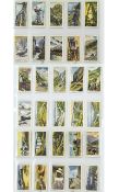 A Good Collection of Early 20th Century Cigarette Cards Sets - 20 Cards to Each Set ( 9 ) Sets In