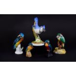 Five Porcelain Birds Kingfisher by Karl Ens, Royal Crown Derby, Doulton ( Unmarked ) + One Other,